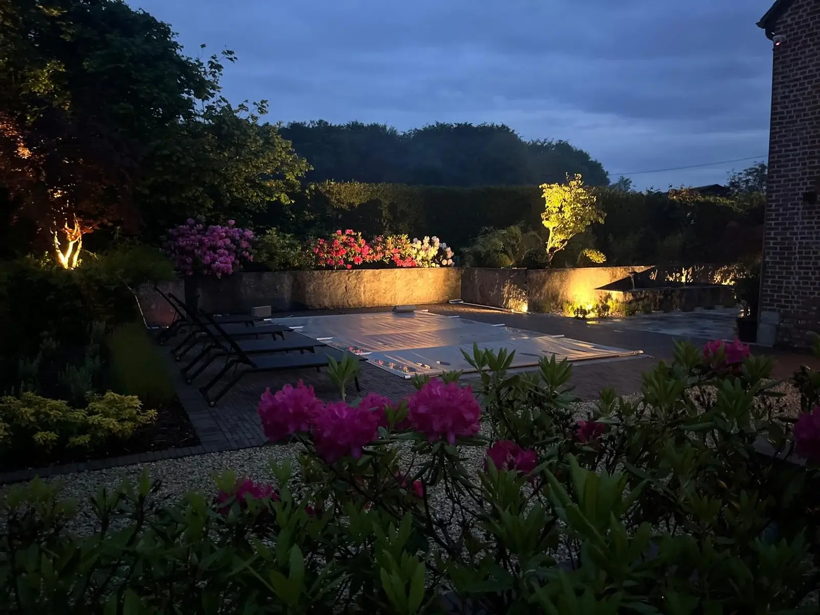 piscine éclairée avec alentours fleuris vue de nuit